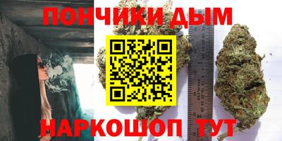 прущие крисы Новозыбков